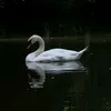 younotknowmewehehehe_28