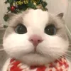 embeiuso1