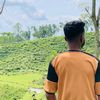 ewrjowel1
