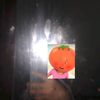 rendzz_6