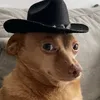 thepowerofundo