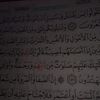 sabahmahmoud791