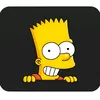 bart30070