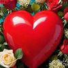 niveditha949