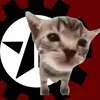 gato60929