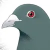 ぎぶ