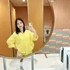 clorrs_