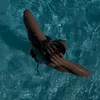 enola_grds