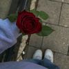 bebo96811
