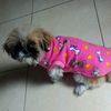 el_viajero21deltiempo