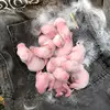 lesley_rabbits