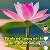 user6378677415740