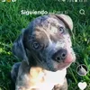 rut_gonzalez_