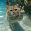 socbay112