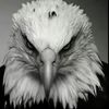 abo_mohammad146