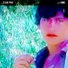 @suliman804