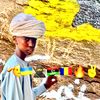 charadami33
