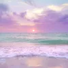 8668_5760