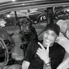 rip.pavao17