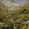 dla_sorani