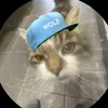 ishotmycatinthefoot