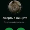 terc1sed