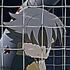 unknown_victim4