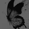 talea_a8