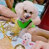 bemo__2024