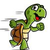 _lilturtle