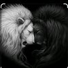 leo_missbaku