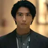 dauphinchauveryujifan
