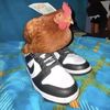 thechickenmaster800
