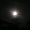 tiktok_moon143