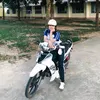 anho1133