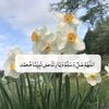 user22966569612294