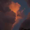 justinnm_f