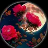 rose.de.la.lune1