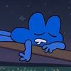 stary.the.cat.lover