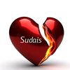 sudaisjani7t5