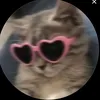 joji.amm1
