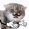 wizk.wntu