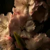 zqwk_iu