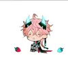 raicas_carry