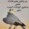 user816610082530