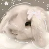 gib3_m1m1