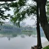 kin.hong8