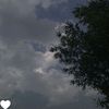 rr_sx76