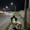ruslan_oo5