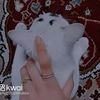 malak.zedan43